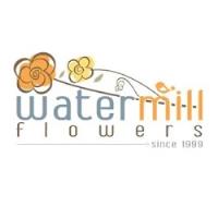 Watermill Flowers image 4